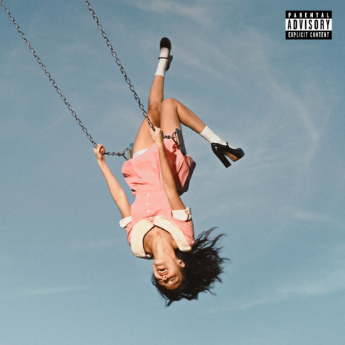 stupid song