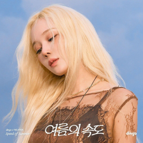 여름의 속도